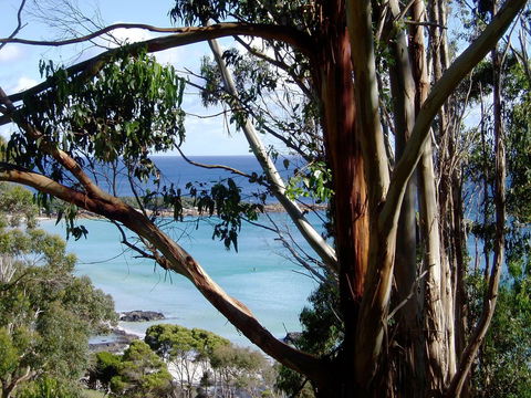 Seascape Beach House - Australian Directory 8