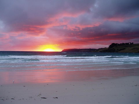 Seascape Beach House - Australian Directory 14