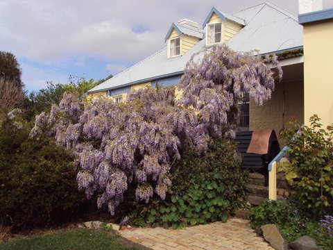 Orford's Sanda House B&B - Australian Directory 40