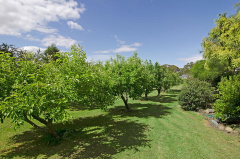 Orford's Sanda House B&B - Australian Directory 37