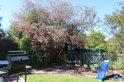 Sisters Beach Paradise - Australian Directory 9