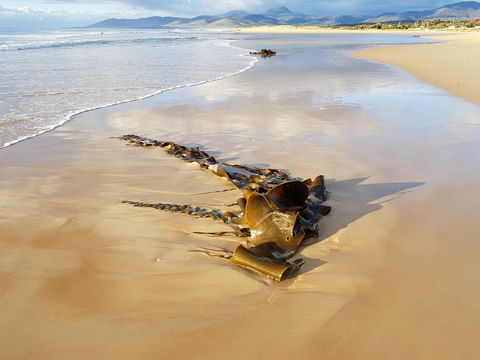 Blue Seas Holiday Villas - Australian Directory 11
