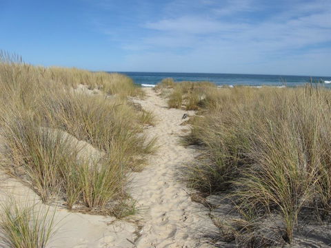 Blue Seas Holiday Villas - Australian Directory 9