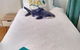Southern Beaches Holiday House - thumb 11