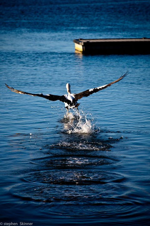 The Waterfront Wynyard - Australian Directory 17