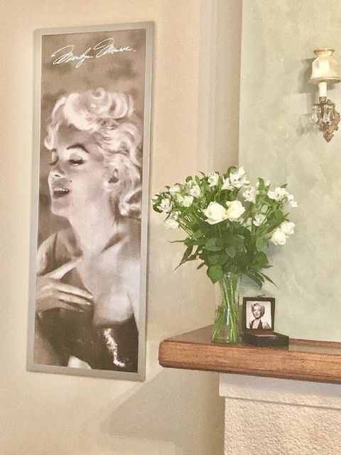 Jones On Wilson Boutique B&B - Australian Directory 1