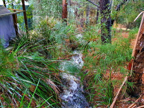 Roland B&B - Australian Directory 22