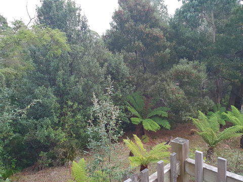 Roland B&B - Australian Directory 41