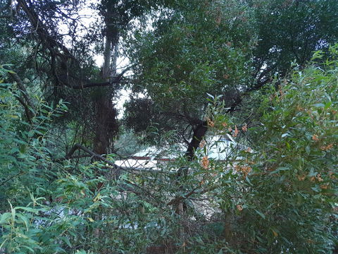 Roland B&B - Australian Directory 44