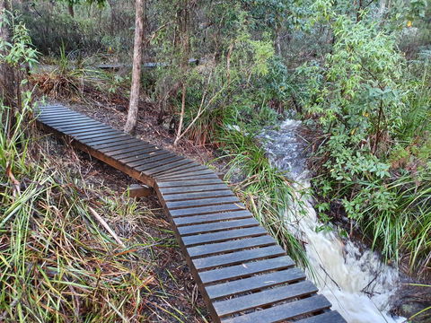 Roland B&B - Australian Directory 28