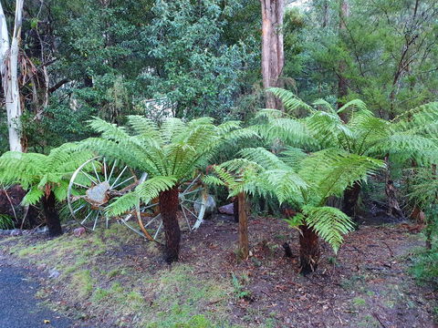 Roland B&B - Australian Directory 33