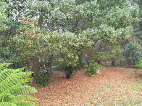 Roland B&B - Australian Directory 40