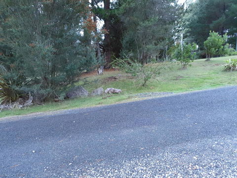 Roland B&B - Australian Directory 24