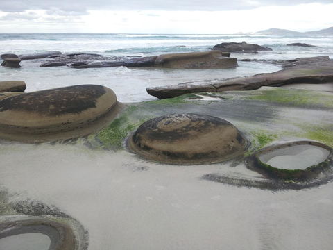 Suntrap Cove Bicheno - Australian Directory 6