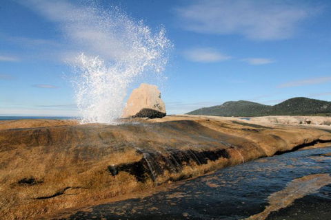 Suntrap Cove Bicheno - Australian Directory 30