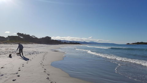 Suntrap Cove Bicheno - Australian Directory 5