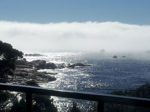 Suntrap Cove Bicheno - Australian Directory 7