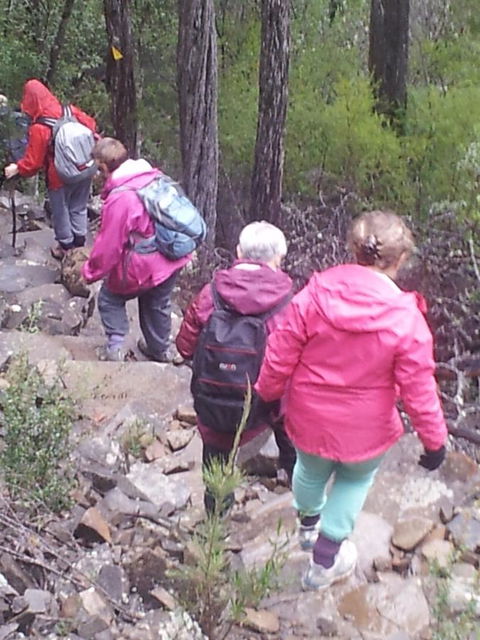 Suntrap Cove Bicheno - Australian Directory 2