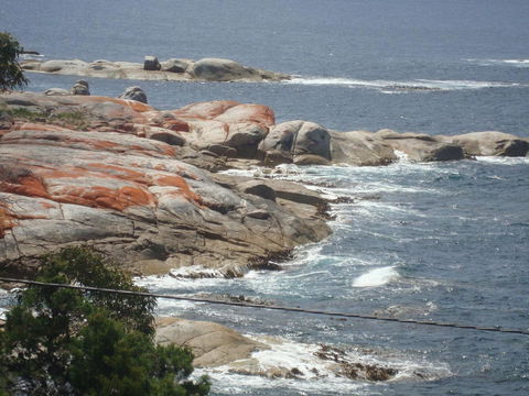 Suntrap Cove Bicheno - Australian Directory 28