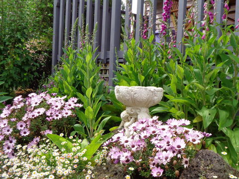 Post House Cottage - Australian Directory 19