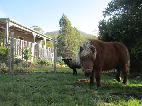 Post House Cottage - Australian Directory 3
