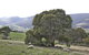 House On The Hill Bed And Breakfast - thumb 15