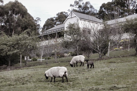 House On The Hill Bed And Breakfast - Australian Directory 19
