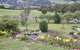 House On The Hill Bed And Breakfast - thumb 36