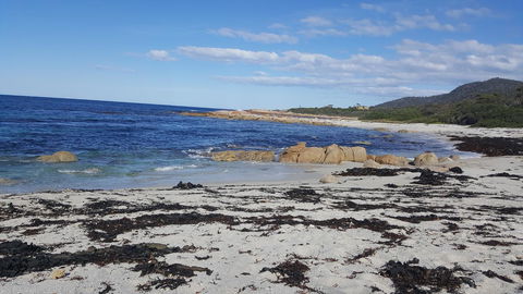 Blu-Sea 365 - Australian Directory 25
