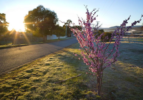 The Storekeeper's - Australian Directory 14