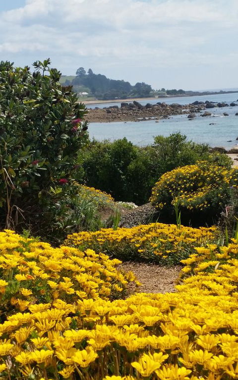 Penguin Beach House - Australian Directory 18