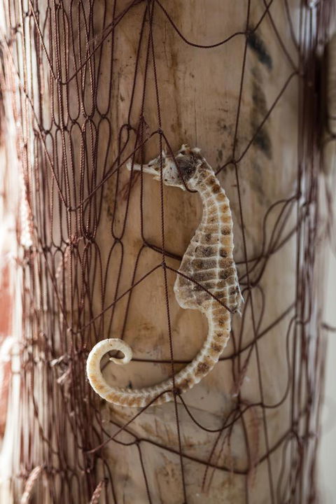 Larus Waterfront Cottage - Australian Directory 18