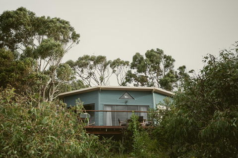 Larus Waterfront Cottage - Australian Directory 15