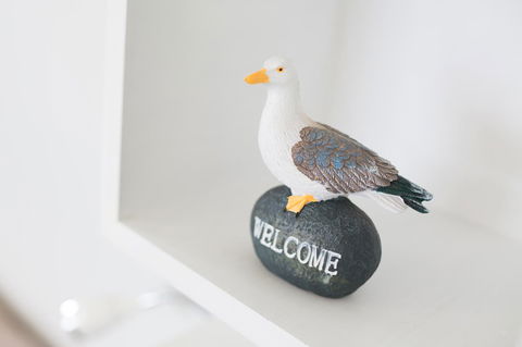 Larus Waterfront Cottage - Australian Directory 22