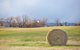 Ratho Farm - thumb 15