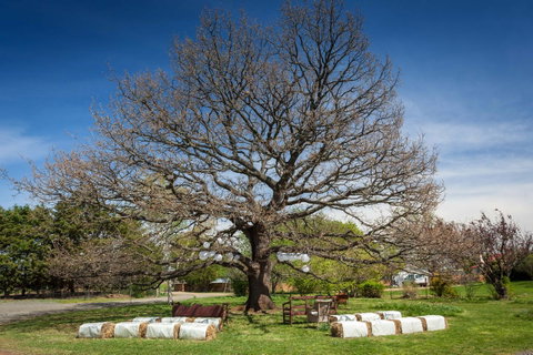Ratho Farm - Australian Directory 8