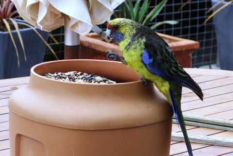 THE LOFT @ Bay Of Fires Seascape - Australian Directory 22