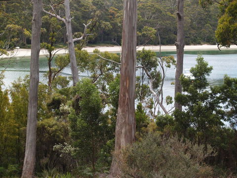 Stewarts Bay Lodge - Australian Directory 23