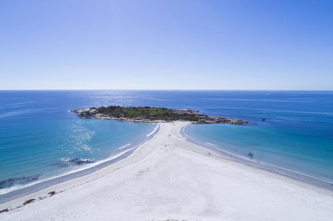 Diamond Island Resort & Bicheno Penguin Show - Australian Directory 4