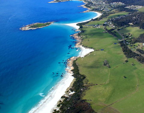Diamond Island Resort & Bicheno Penguin Show - Australian Directory 5