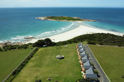 Diamond Island Resort & Bicheno Penguin Show - Australian Directory 18