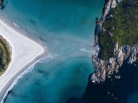Diamond Island Resort & Bicheno Penguin Show - Australian Directory 43