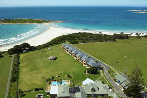 Diamond Island Resort & Bicheno Penguin Show - Australian Directory 0