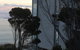 Holland House Bay Of Fires - thumb 7