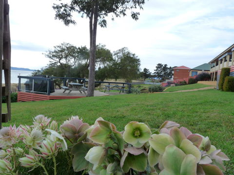 Swansea Motor Inn Tasmania - Australian Directory 17