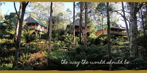 Lemonthyme Wilderness Retreat - Australian Directory 20