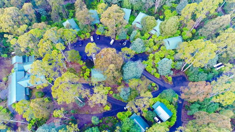 Lemonthyme Wilderness Retreat - Australian Directory 1