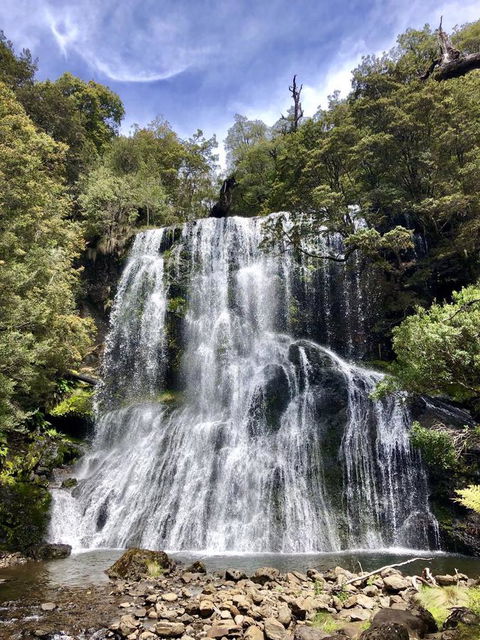 Lemonthyme Wilderness Retreat - Australian Directory 9