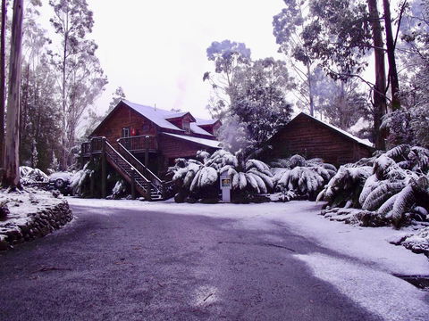 Lemonthyme Wilderness Retreat - Australian Directory 12