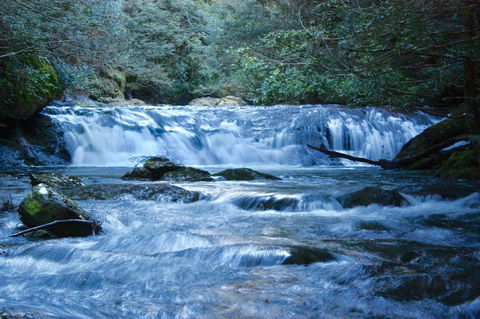 Lemonthyme Wilderness Retreat - Australian Directory 10
